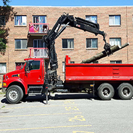 camion grue